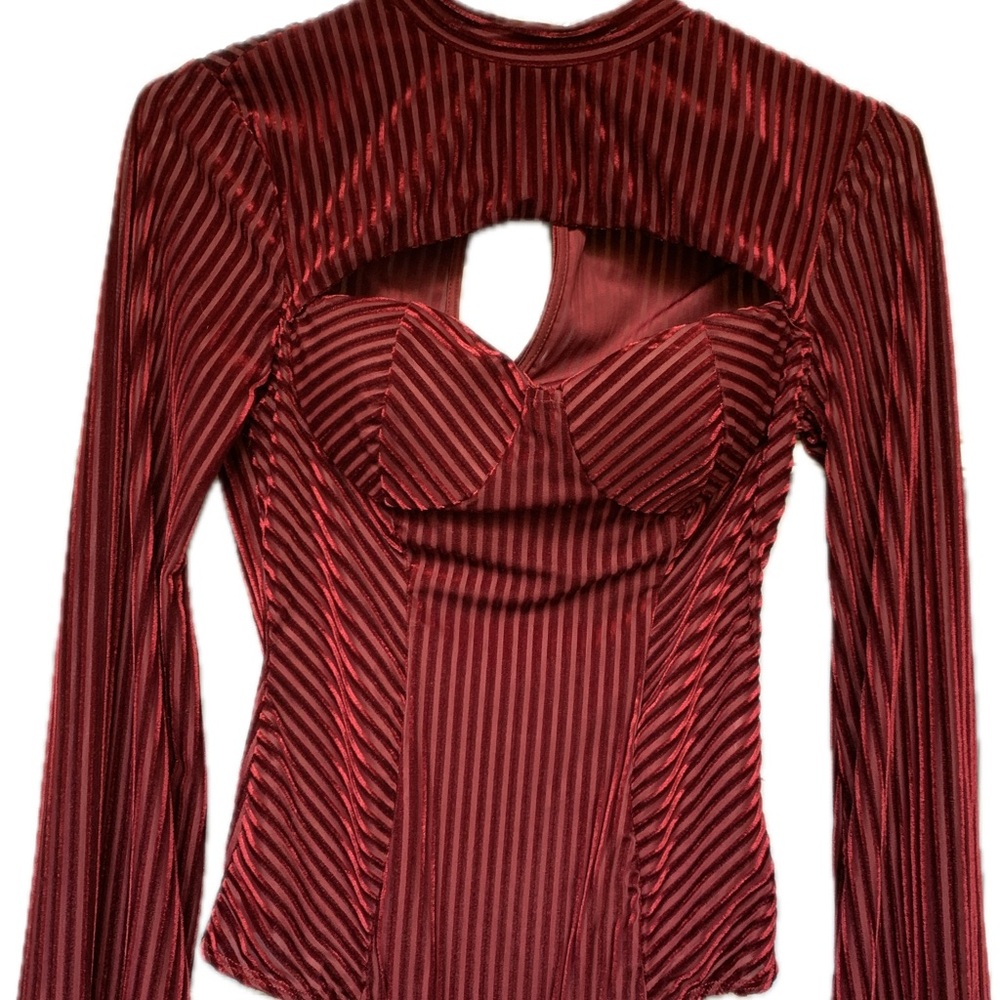 Stunning Burgundy Striped Velvet Cutout Bustier Bodysuit, Lulus, Small
